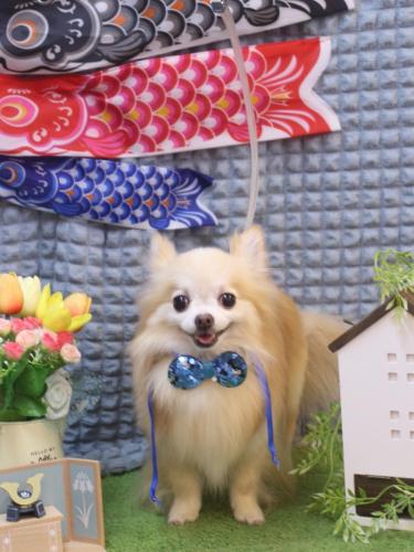 20230514小豆くん